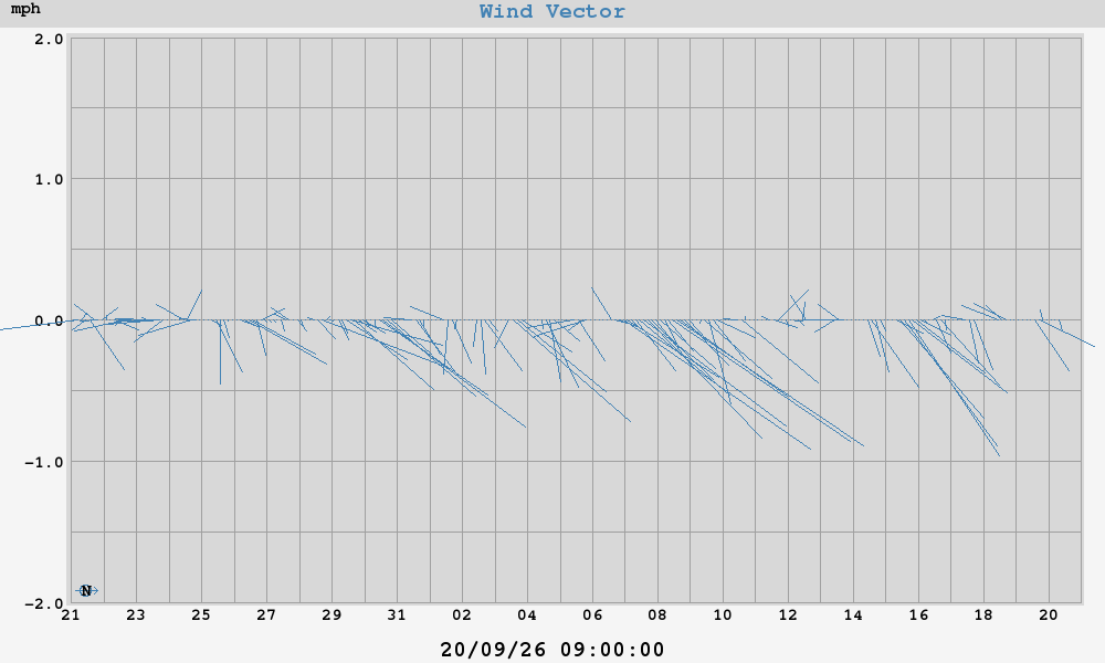 Wind Vector